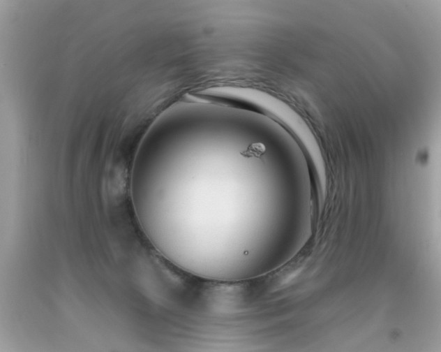 X0000091930081200709051510