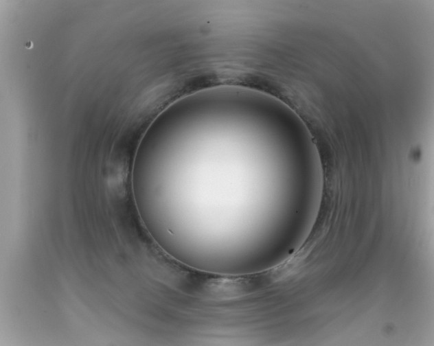 X0000091930082200709051510