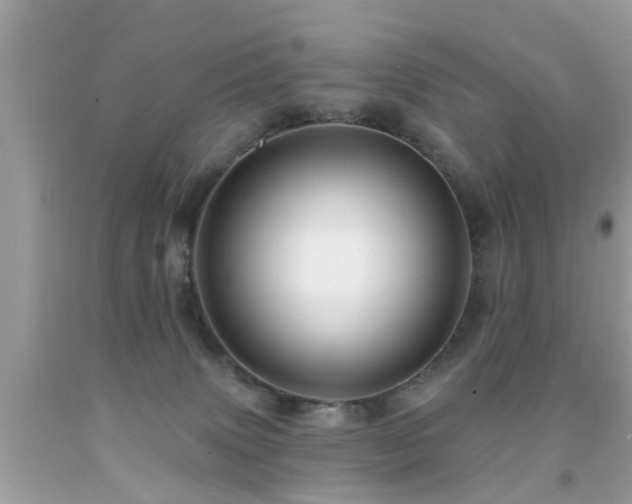 X0000091930083200709051510