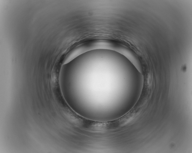 X0000091930084200709051510