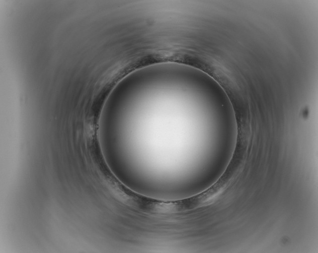 X0000091930085200709051510