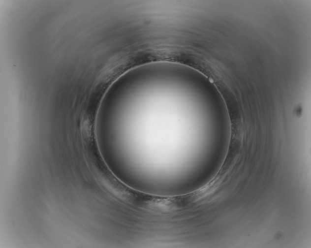 X0000091930086200709051510