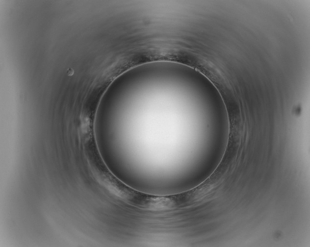 X0000091930087200709051510