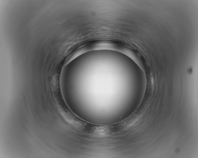 X0000091930088200709051510