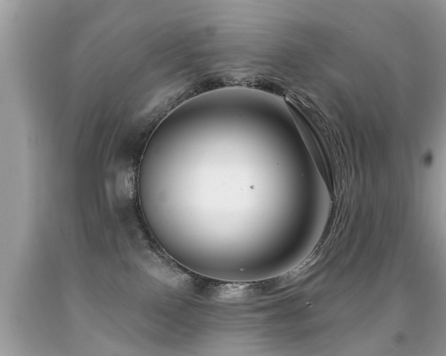 X0000091930090200709051510