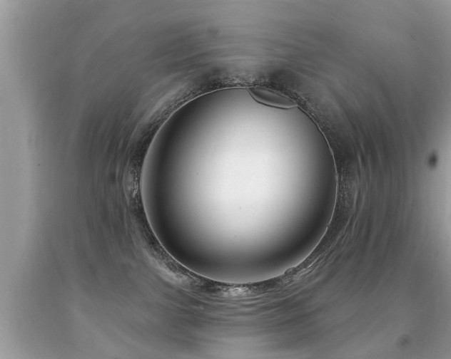 X0000091930091200709051510