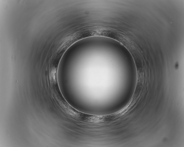 X0000091930094200709051511