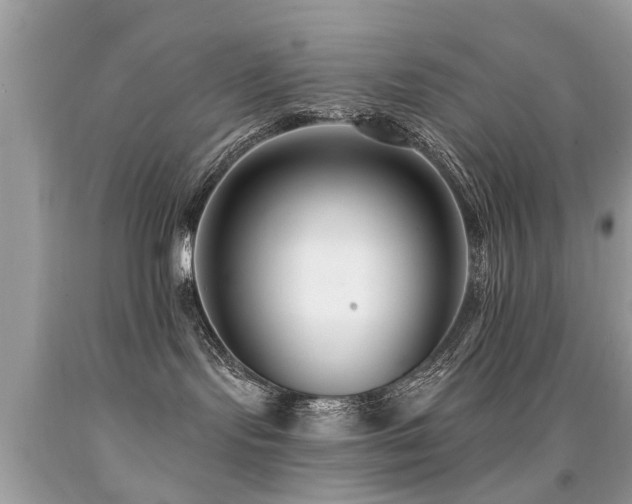 X0000091930095200709051511
