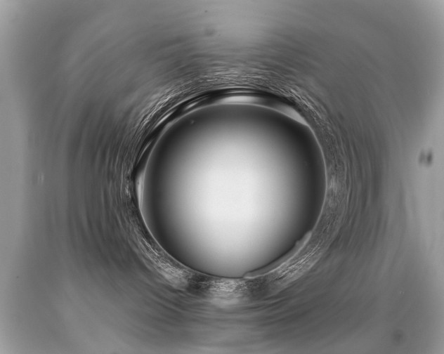 X0000091930096200709051511