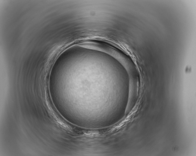 X0000091930097200709051510