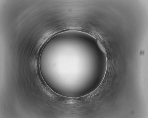 X0000091930098200709051510