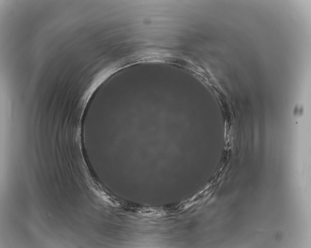 X0000091930099200709051510