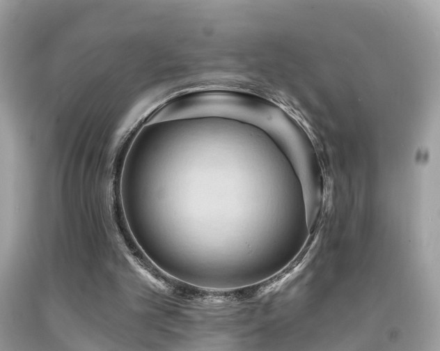 X0000091930101200709051510