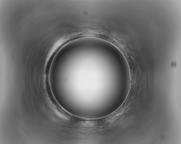 X0000091930102200709051510
