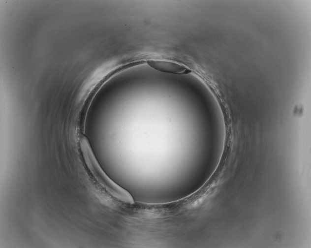 X0000091930103200709051510