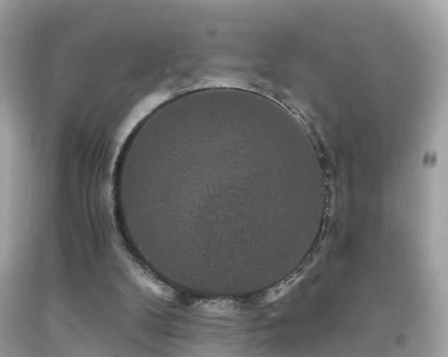 X0000091930104200709051510