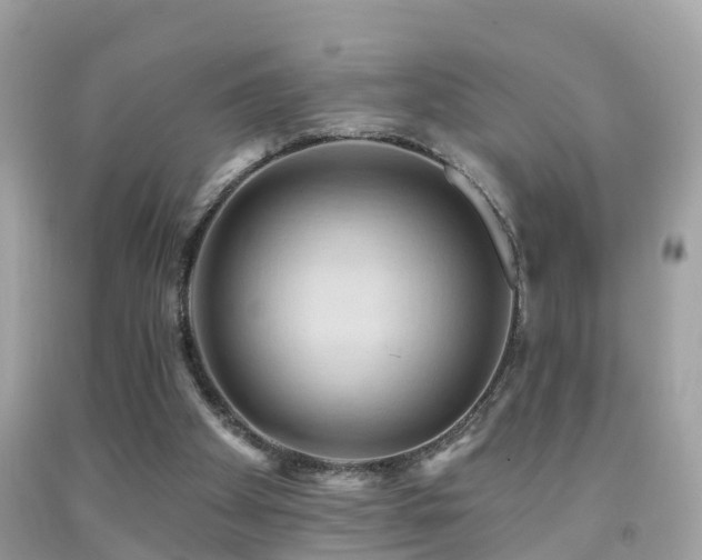 X0000091930105200709051510