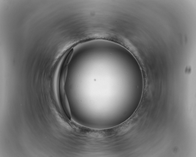X0000091930106200709051510