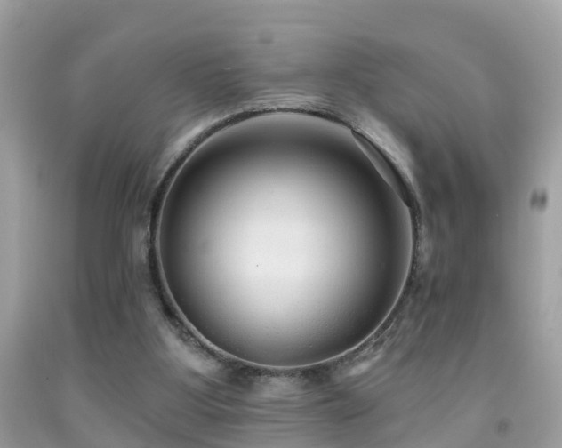 X0000091930107200709051510