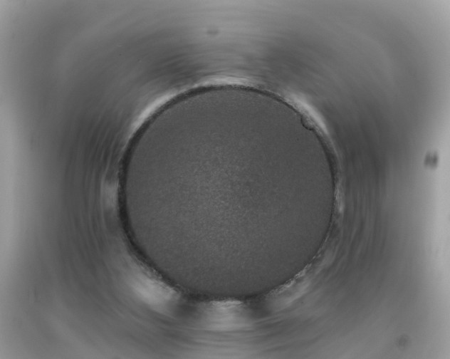 X0000091930108200709051510