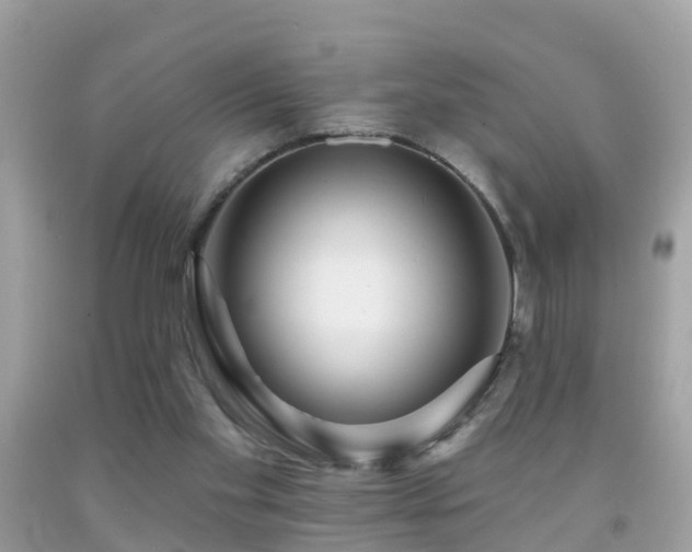 X0000091930109200709051509