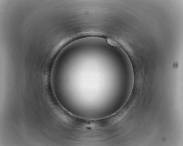 X0000091930111200709051509