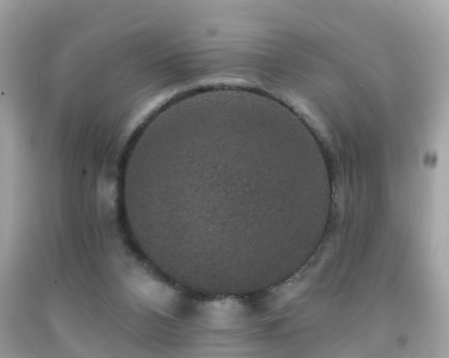 X0000091930112200709051509