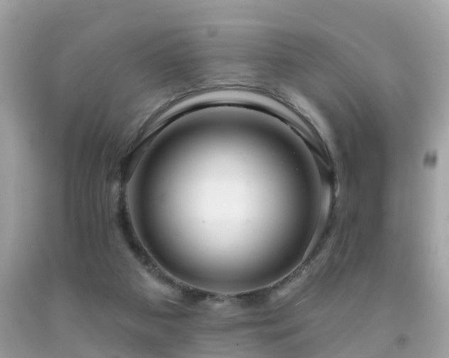 X0000091930113200709051509