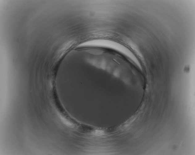 X0000091930114200709051509