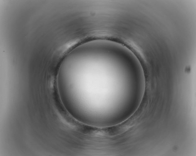 X0000091930115200709051509