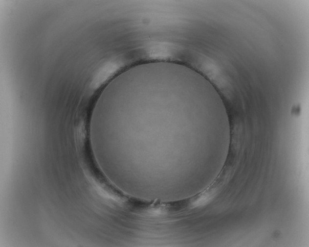 X0000091930116200709051509