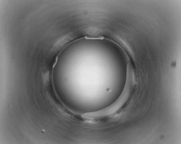 X0000091930117200709051509