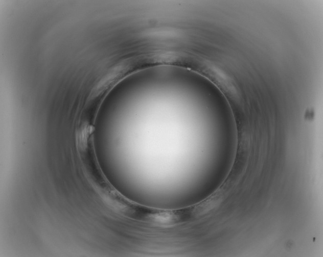 X0000091930118200709051509