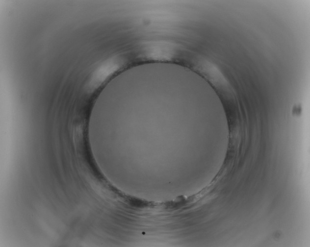 X0000091930120200709051509