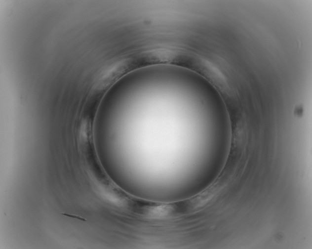 X0000091930122200709051509