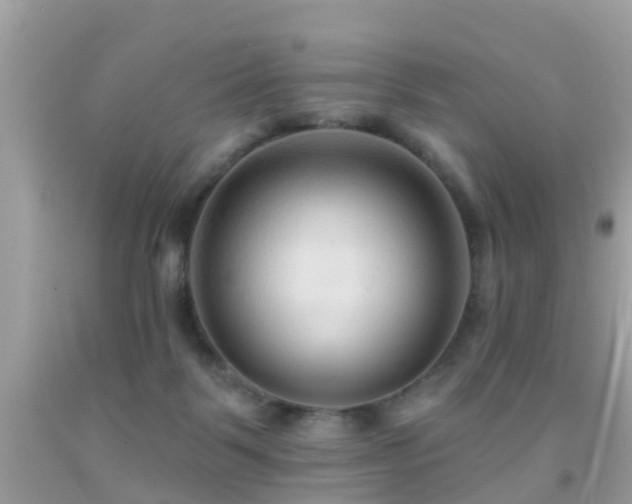 X0000091930123200709051509