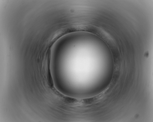 X0000091930124200709051509