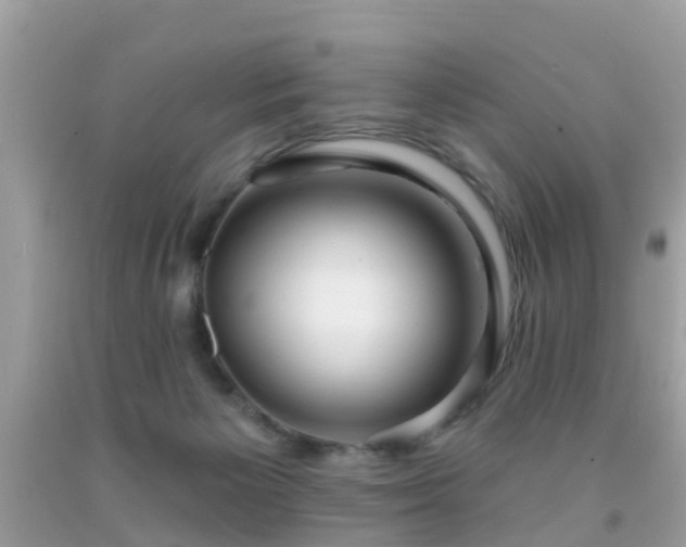 X0000091930125200709051509