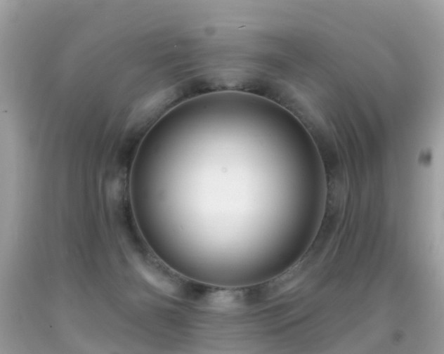 X0000091930126200709051509