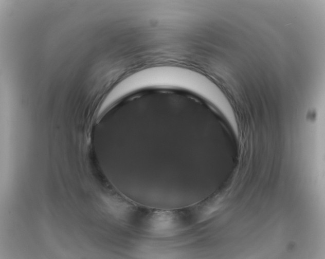 X0000091930127200709051509