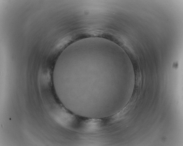 X0000091930128200709051509