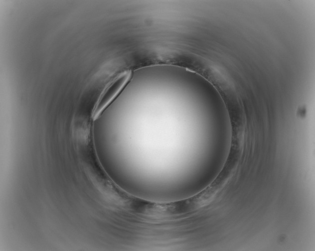 X0000091930129200709051509