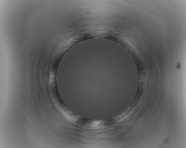 X0000091930130200709051509