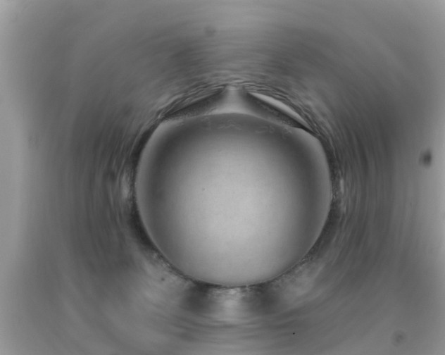 X0000091930131200709051509