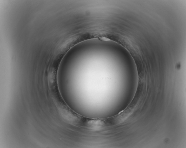X0000091930133200709051509