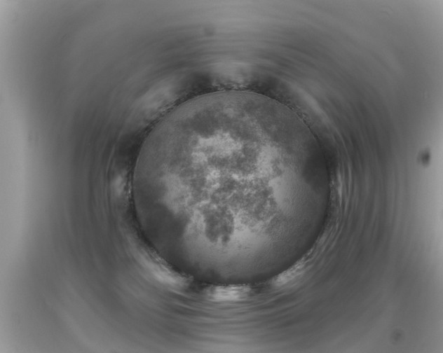X0000091930134200709051509