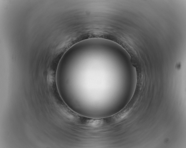 X0000091930135200709051509