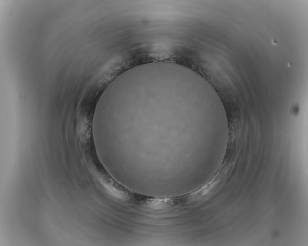 X0000091930136200709051509