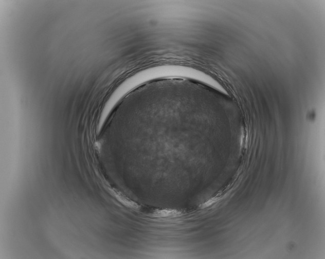 X0000091930137200709051509