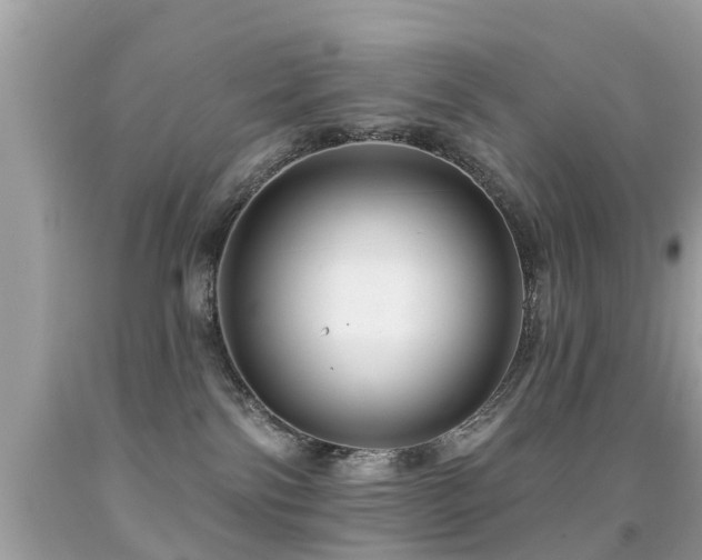 X0000091930138200709051509